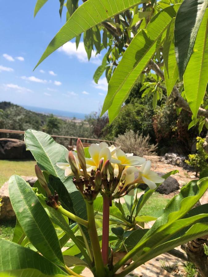 Above The Sea Villa Ein Hod Exterior foto