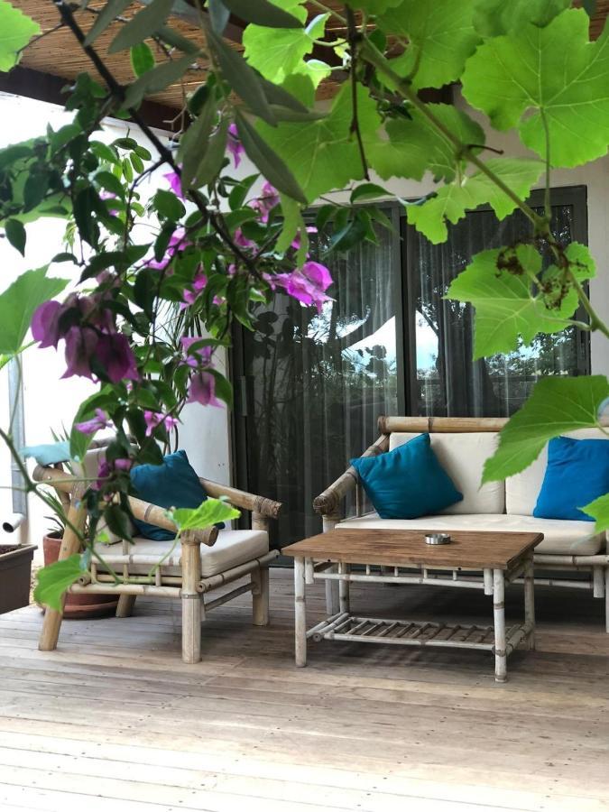 Above The Sea Villa Ein Hod Exterior foto
