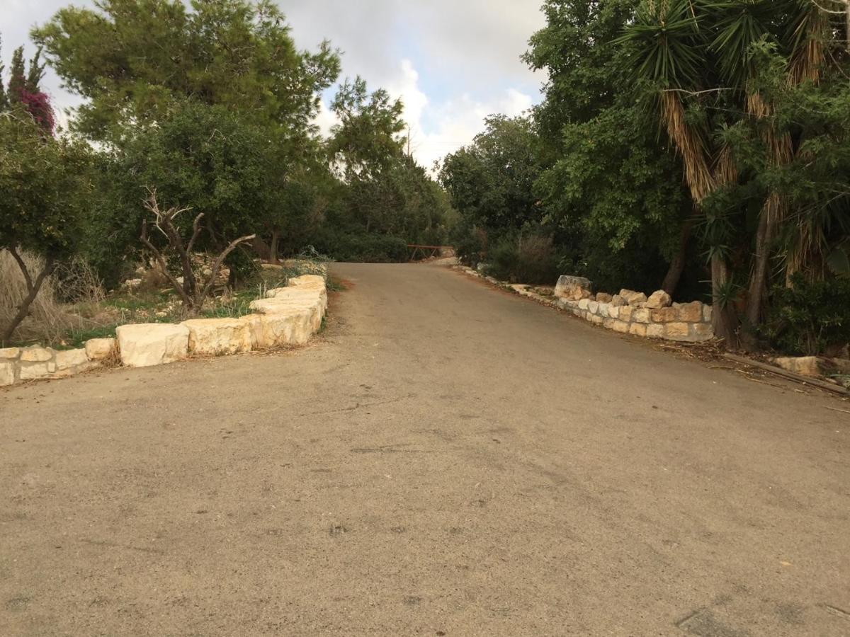Above The Sea Villa Ein Hod Exterior foto