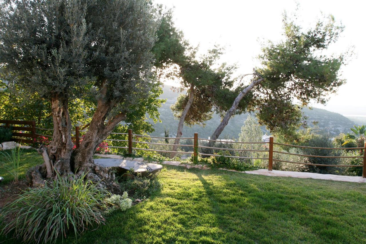 Above The Sea Villa Ein Hod Exterior foto