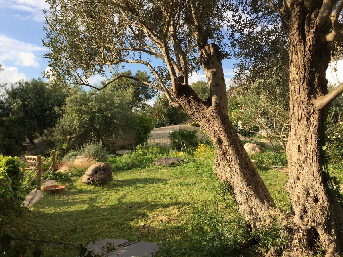 Above The Sea Villa Ein Hod Exterior foto